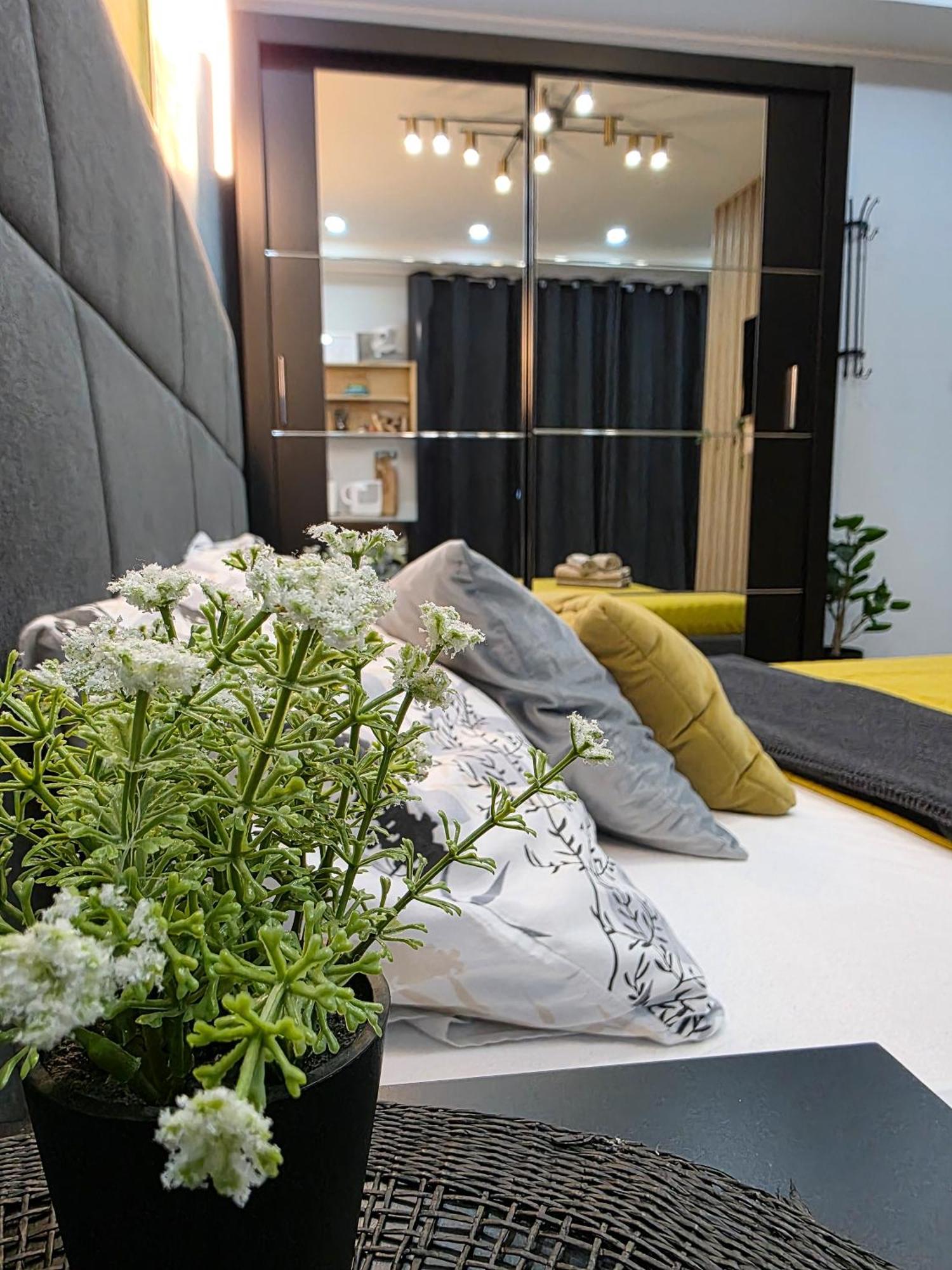 Vanimi Lux Apartmani Кикинда Экстерьер фото